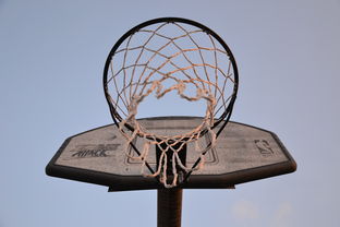 乐鱼官网-NBA联盟与高校篮球合作开发机制研究，大学篮球联盟叫什么