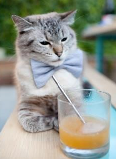 “香港跑步盛事!SHO-CHAN Run 2025点燃运动激情”