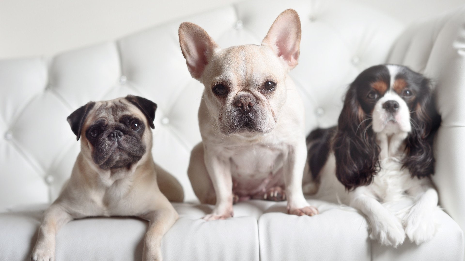 体育新闻中心发布体育教育类内容平台流量扶持政策,体育教育信息网