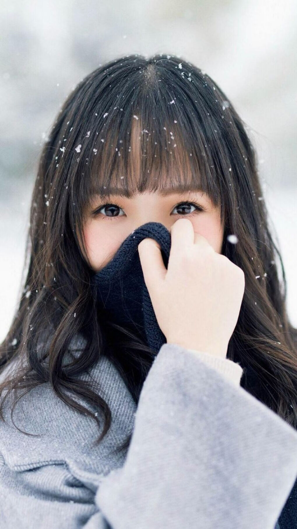 德国队的赛制适应与调整:国际乒联混合团体世界杯全解析,德国乒乓球世锦赛