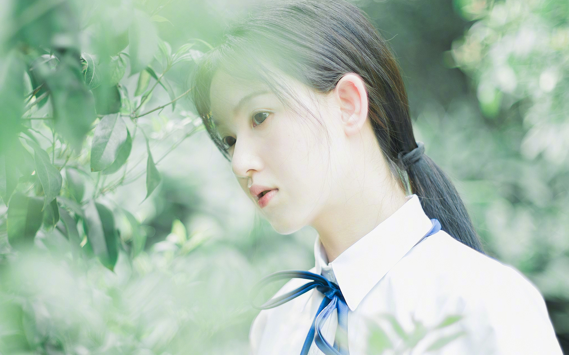 本土教练战术系统缺乏国际化视角,本土教练怎么了