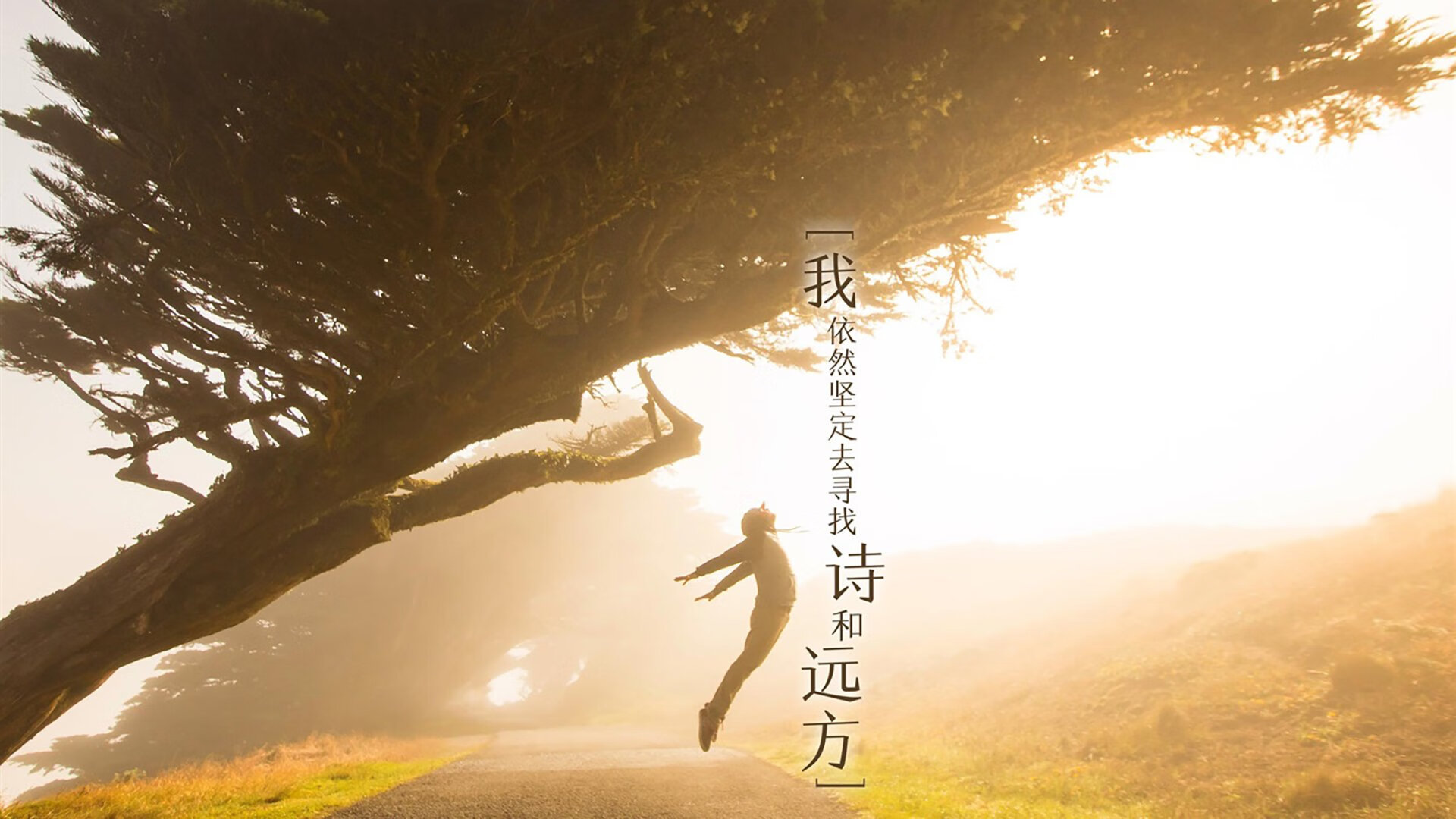 转换节奏中球员如何快速识别对位防线，球员对位数据