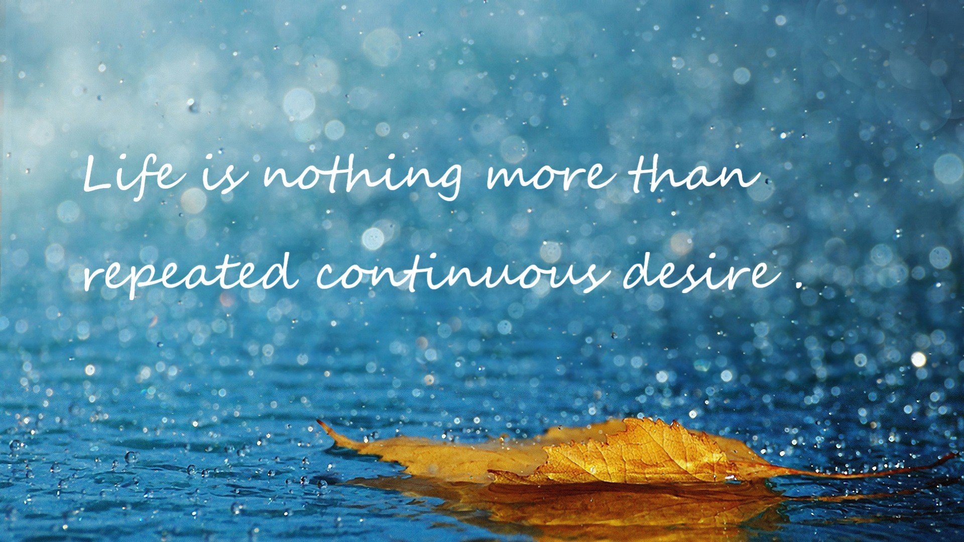 中国篮球打造专业教练培训平台提升教学能力,专业篮球教练培训多少钱