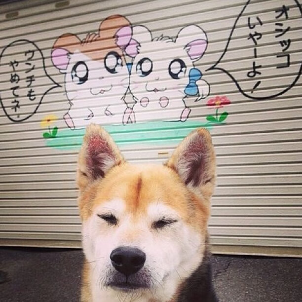 乌拉圭女篮在南美锦标赛中持续强势,体育事业持续腾飞,乌拉圭篮球联赛2021