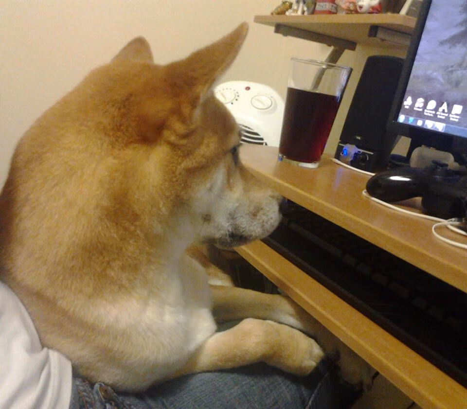 哈斯克赛后谈训练细节与经验,哈斯克人