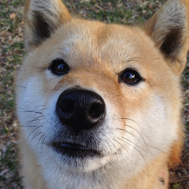 国家体育总局通报国家级赛事环保方案执行情况，环保类竞赛