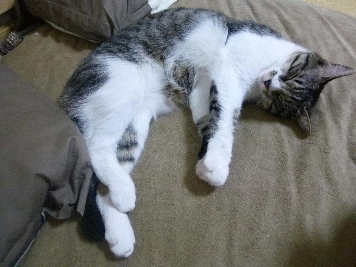 女子足球培训课程加入防伤内容加强保护意识,女子足球训练中的注意事项