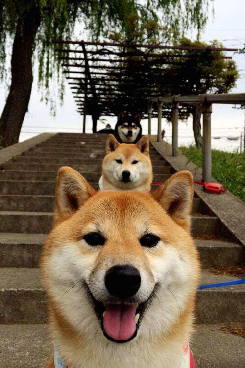 尤文图斯引援顺利,中场实力显著增强