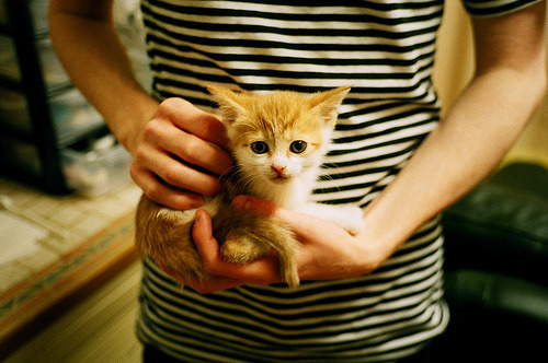 乐鱼体育官网登录-拉文失误频发公牛终结连败，拉文31分率公牛取季前赛四连胜