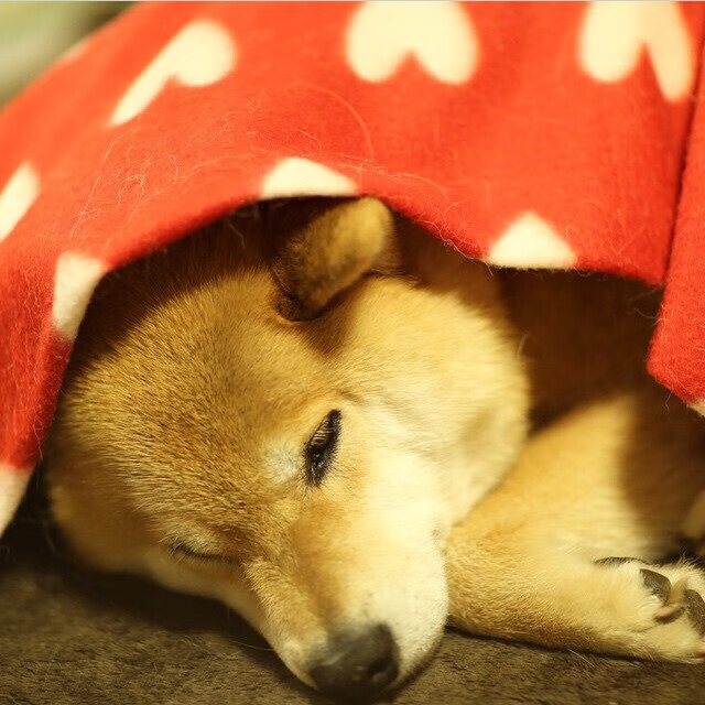 乐鱼体育在线入口-未来足球场馆智能照明系统实现节能减排目标，足球场照明方案