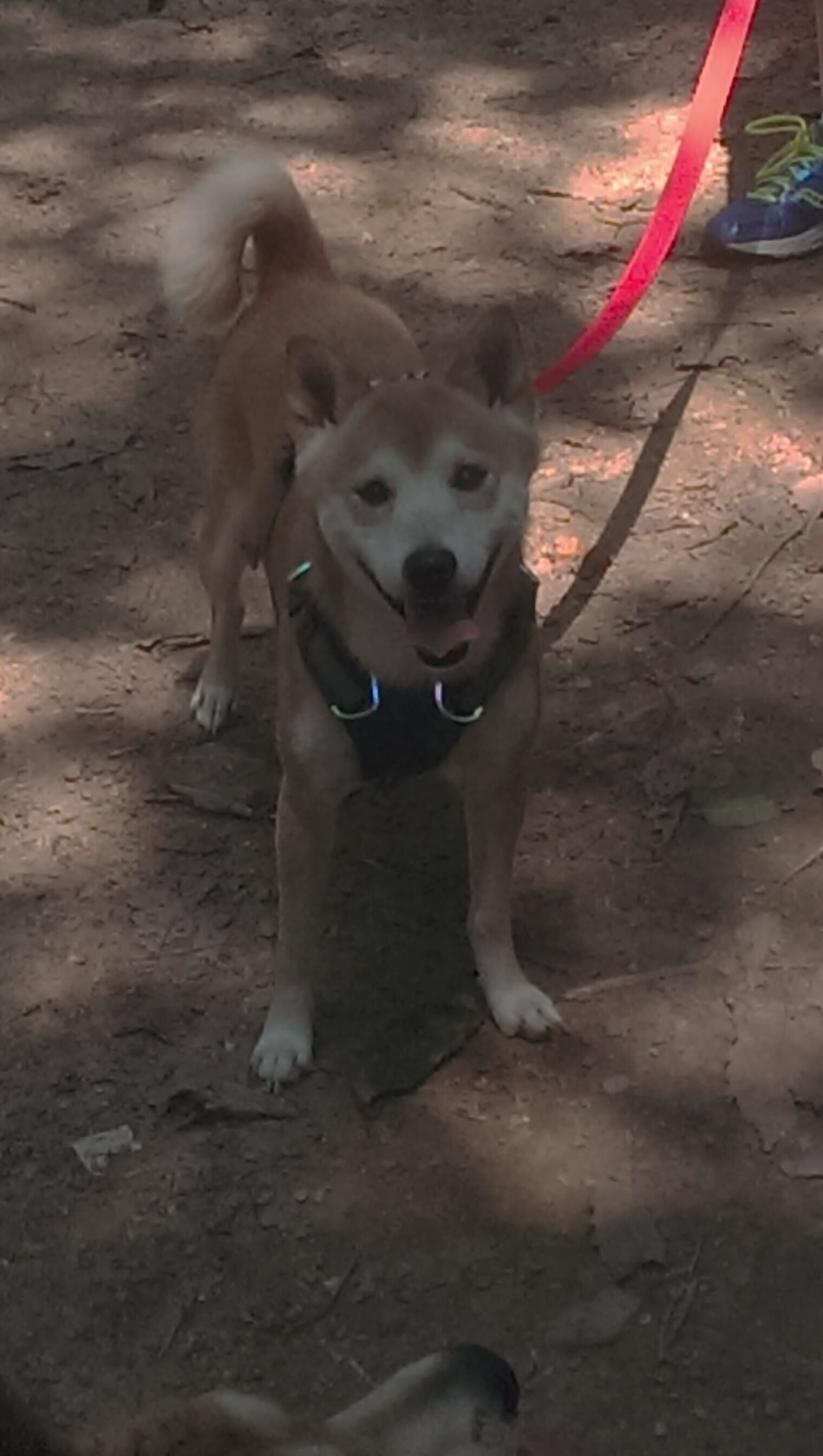 乐鱼体育官网投注-欧洲杯激情再临：攻防精彩不断，令人心潮澎湃！